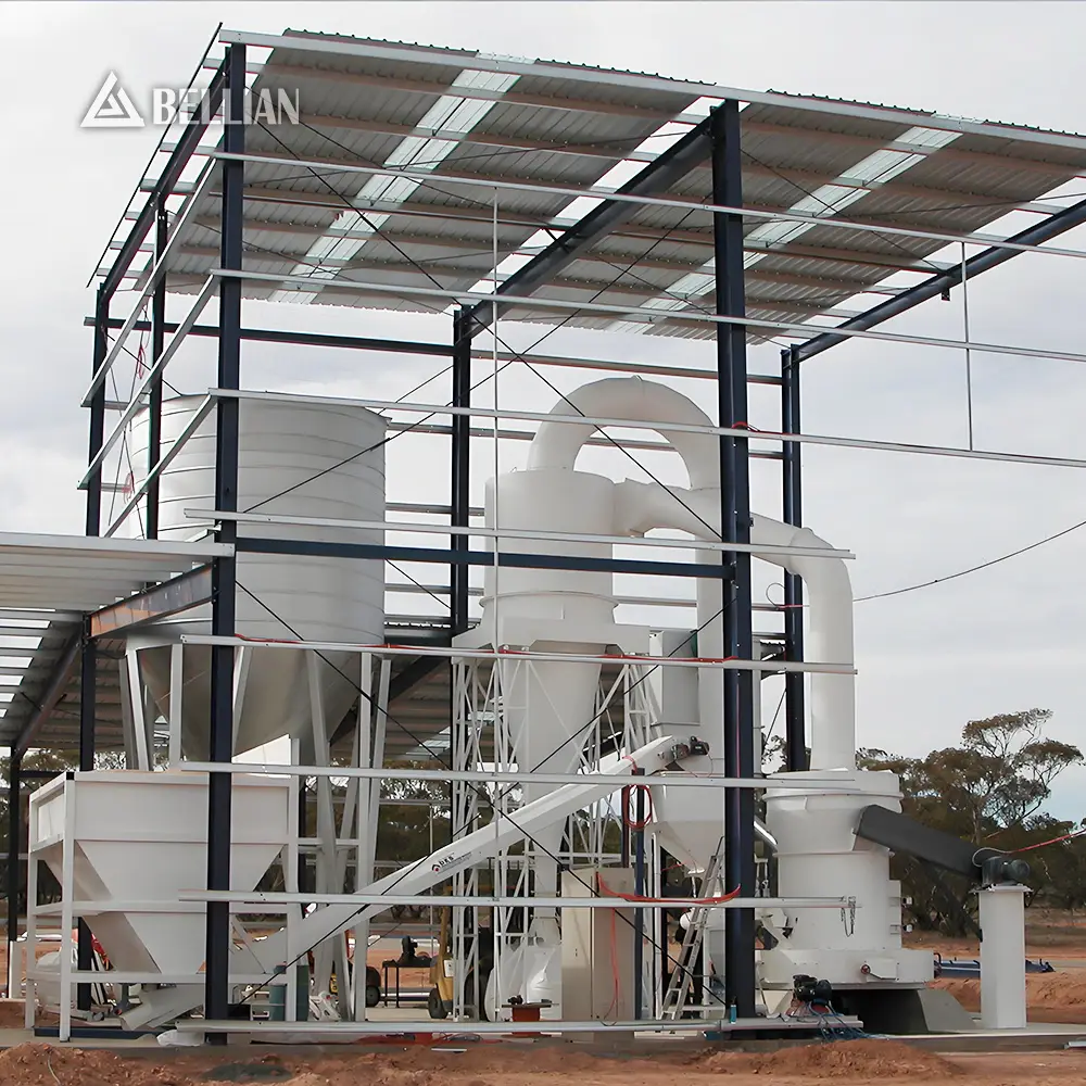 Raymond Mill view 6 | Bellian Machinery