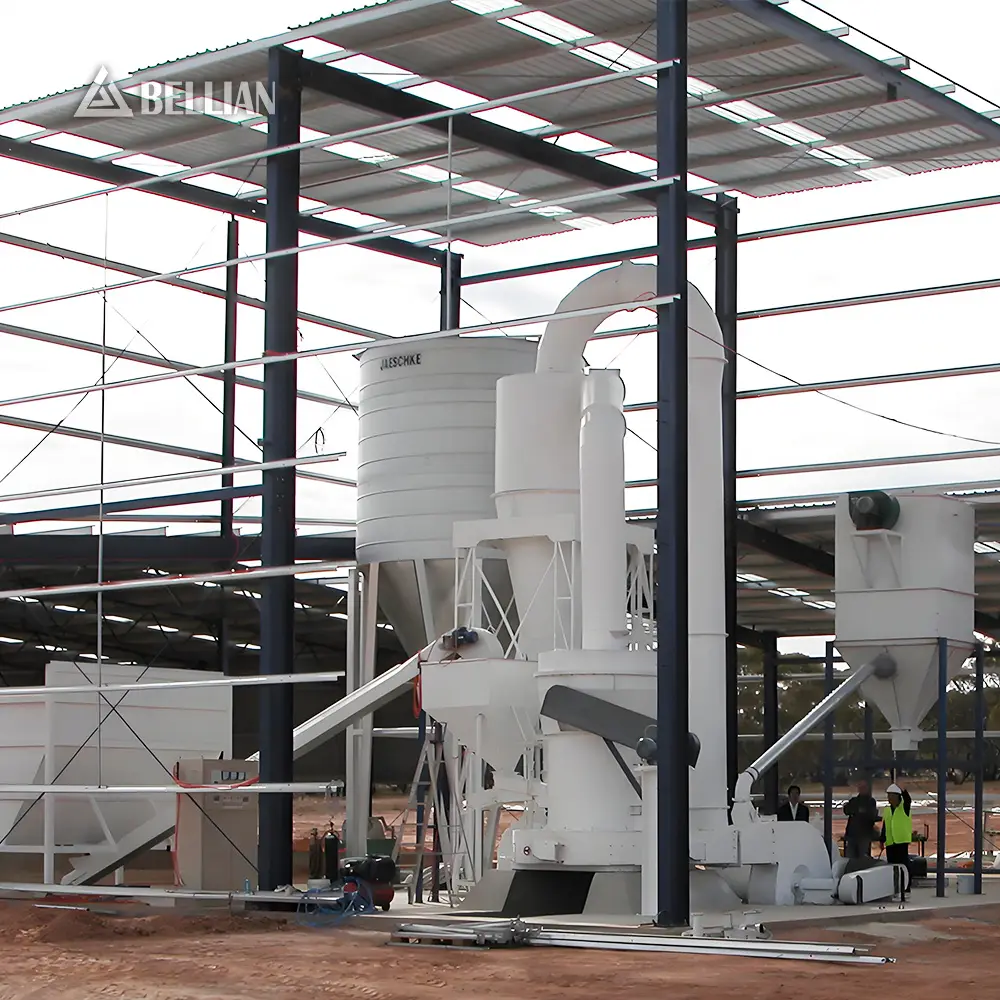Raymond Mill view 5 | Bellian Machinery