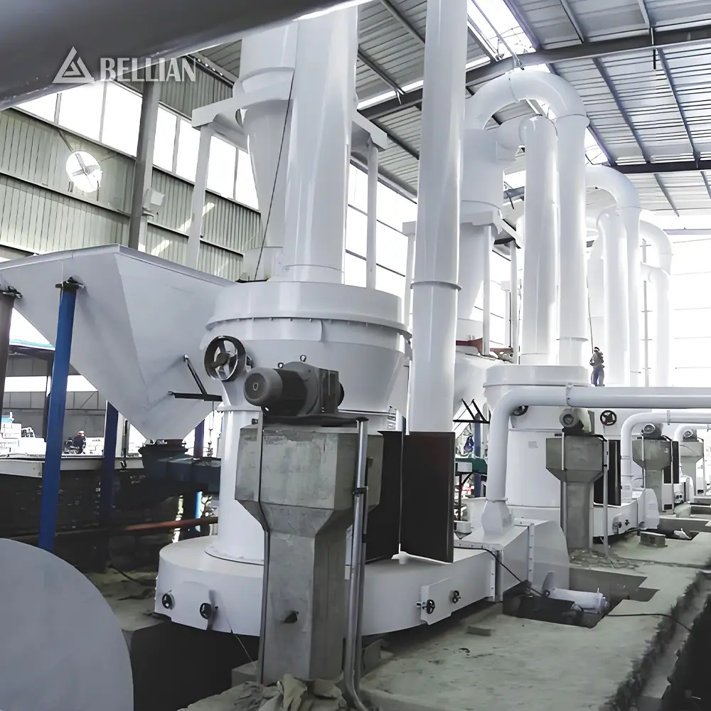 Raymond Mill view 4 | Bellian Machinery