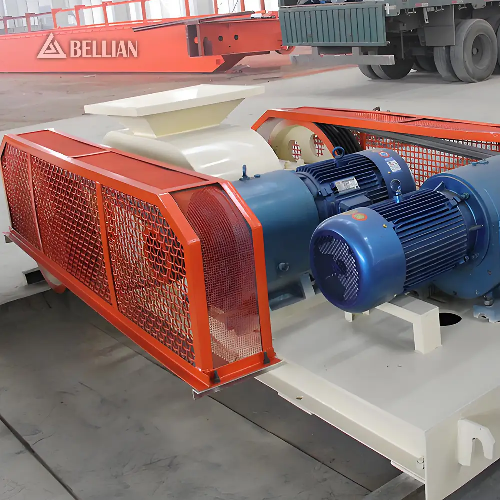 Double Roller Crusher view 4 | Bellian Machinery