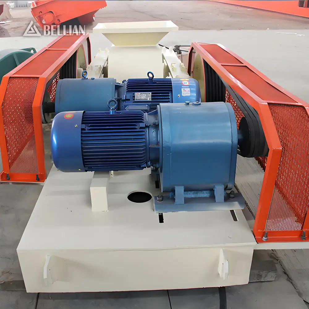 Double Roller Crusher view 2 | Bellian Machinery