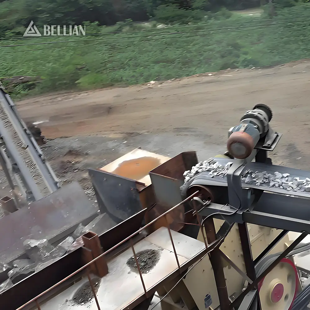 Hammer Crusher view 5 | Bellian Machinery