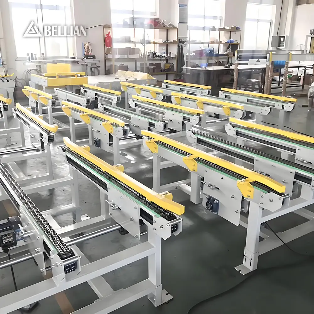 Chain Conveyor view 5 | Bellian Machinery