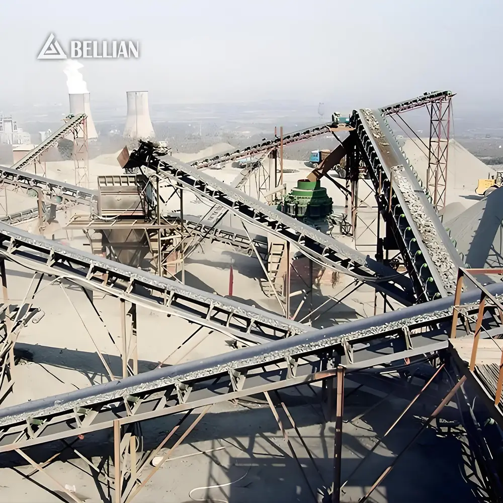 Belt Conveyor view 6 | Bellian Machinery
