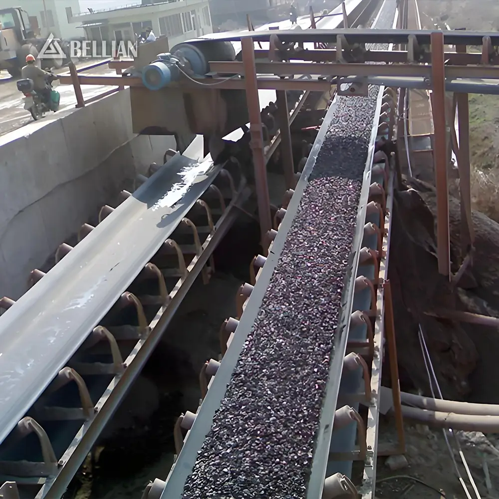 Belt Conveyor view 4 | Bellian Machinery