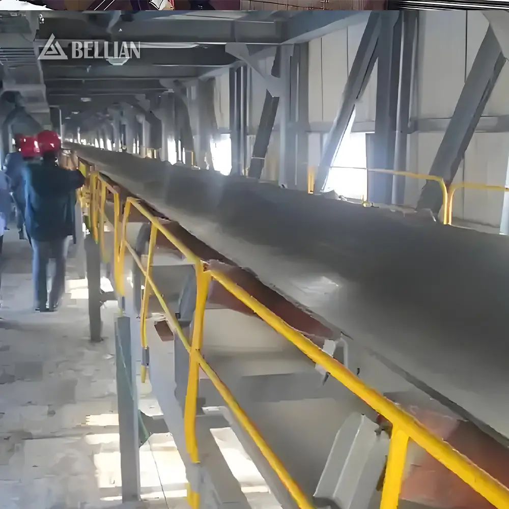 Belt Conveyor view 3 | Bellian Machinery