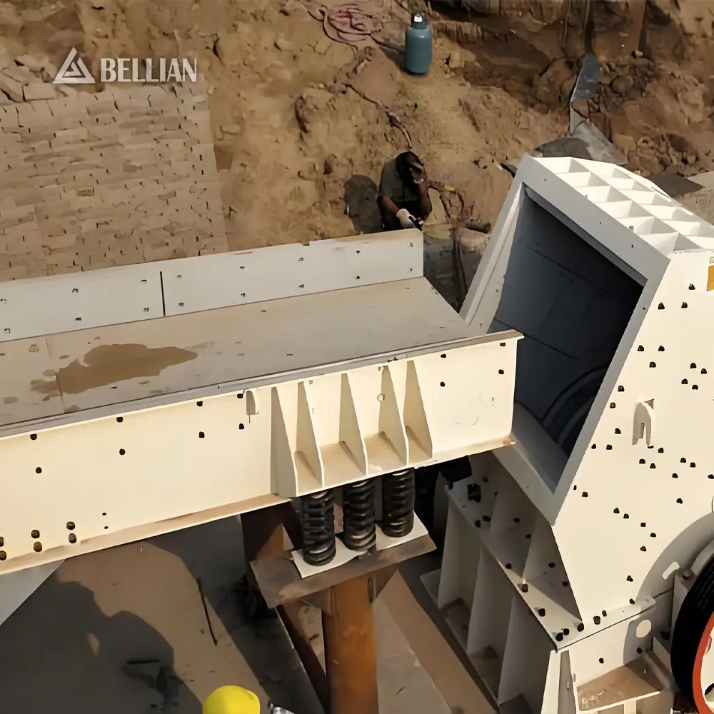 Vibrating Feeder view 6 | Bellian Machinery