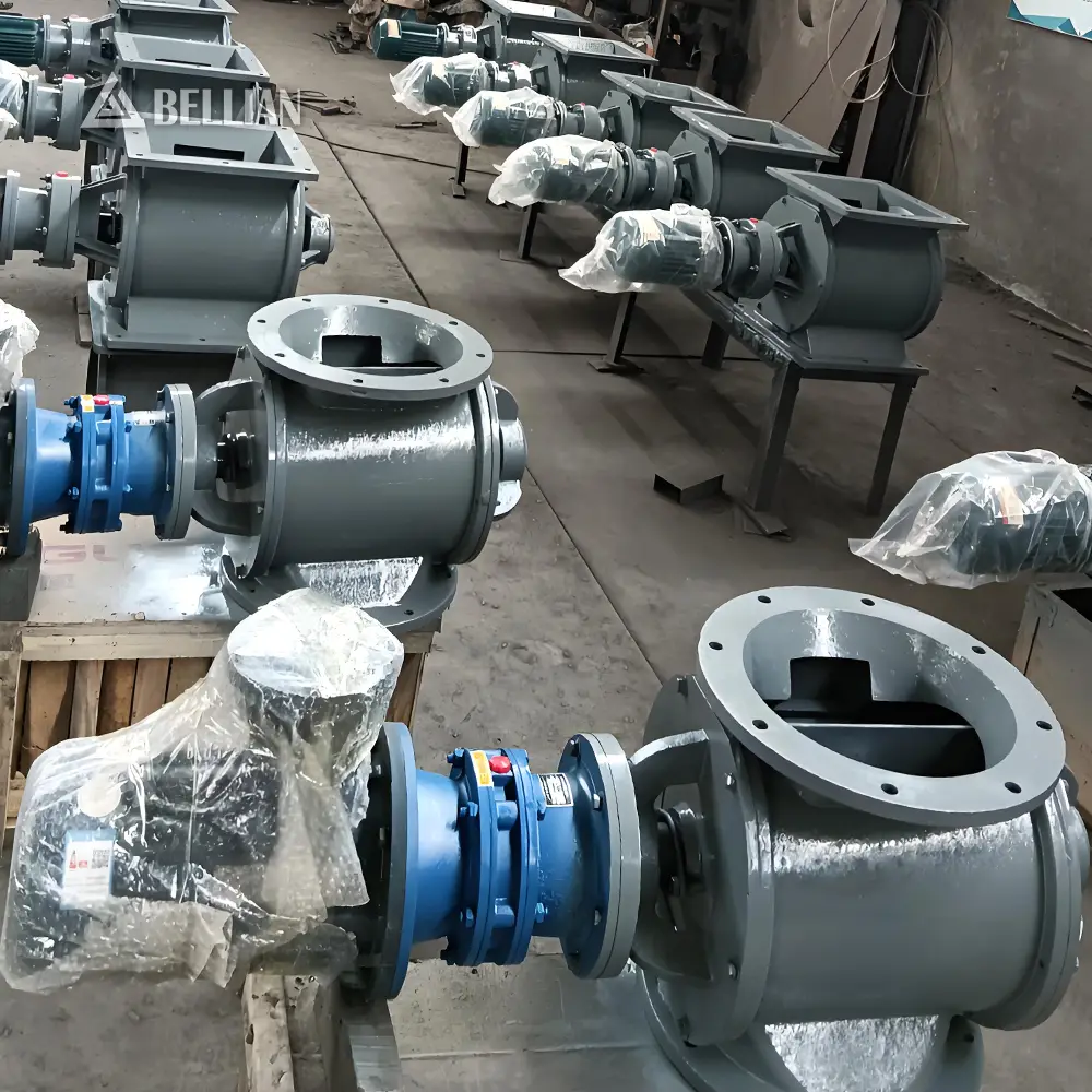 Impeller Feeder view 5 | Bellian Machinery