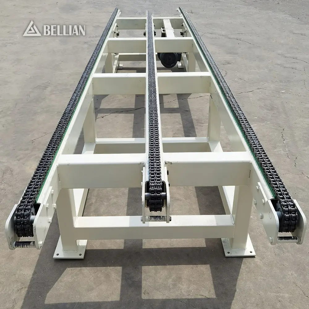 Chain Conveyor view 2 | Bellian Machinery