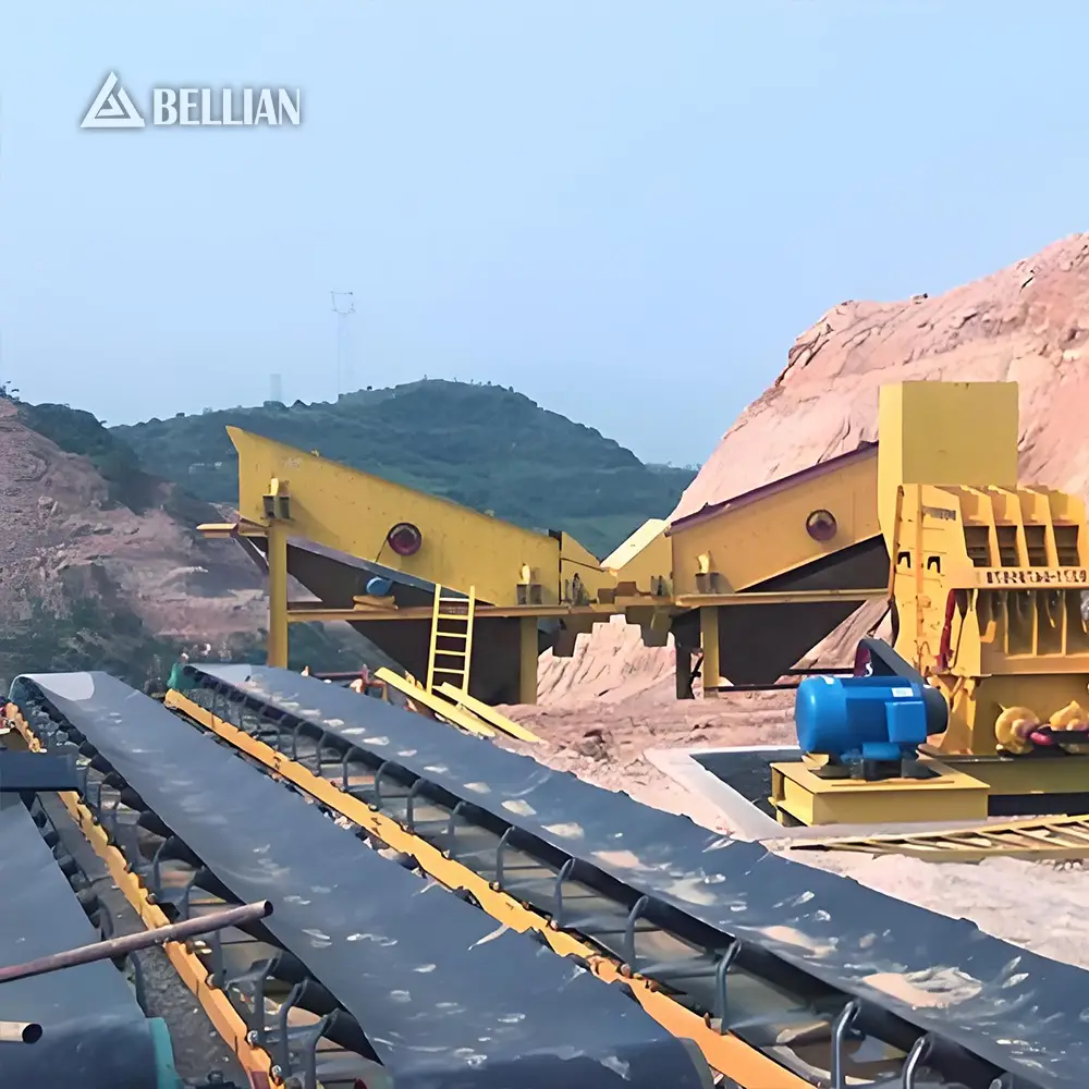 Belt Conveyor view 5 | Bellian Machinery